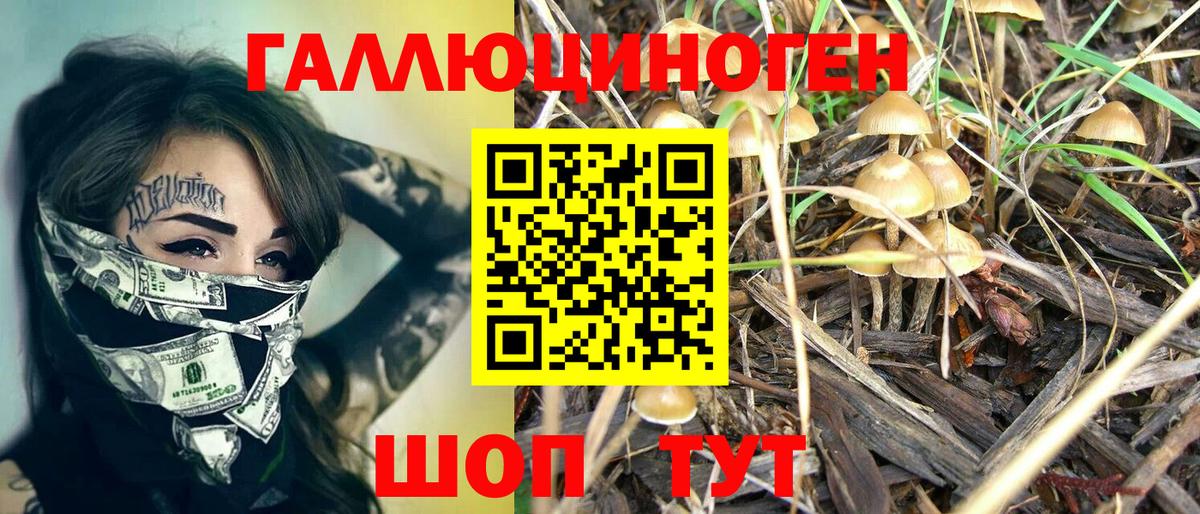 Большой Камень  Галлюциногенные грибы GOLDEN TEACHER  Галлюциногенные грибы Magic Shrooms  Вход с VPN 